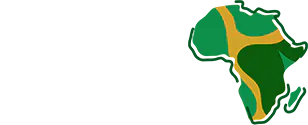 coupedafriquedesnations logo