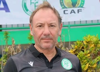 Stefano Cusin - Comores