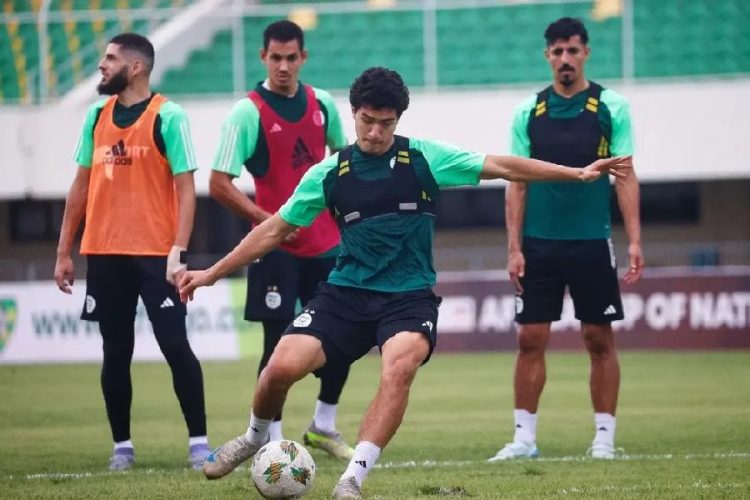 Les Fennecs s’apprêtent à accueillir du sang neuf